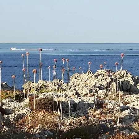 Ficula Vell Beachfront With Private Pool פונטה גרוסה