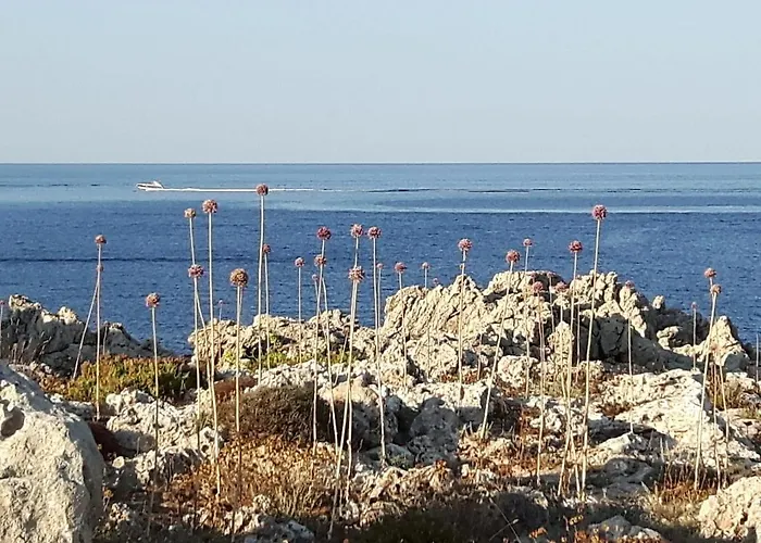 Ficula Vell Beachfront With Private Pool Punta Grossa